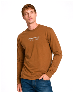 3910 - Remera M/L Aero Estampada