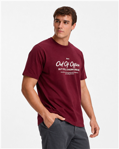 4572 - Remera Aero Estampada